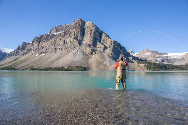 Top Fishing Gear for a Successful Day on the Water